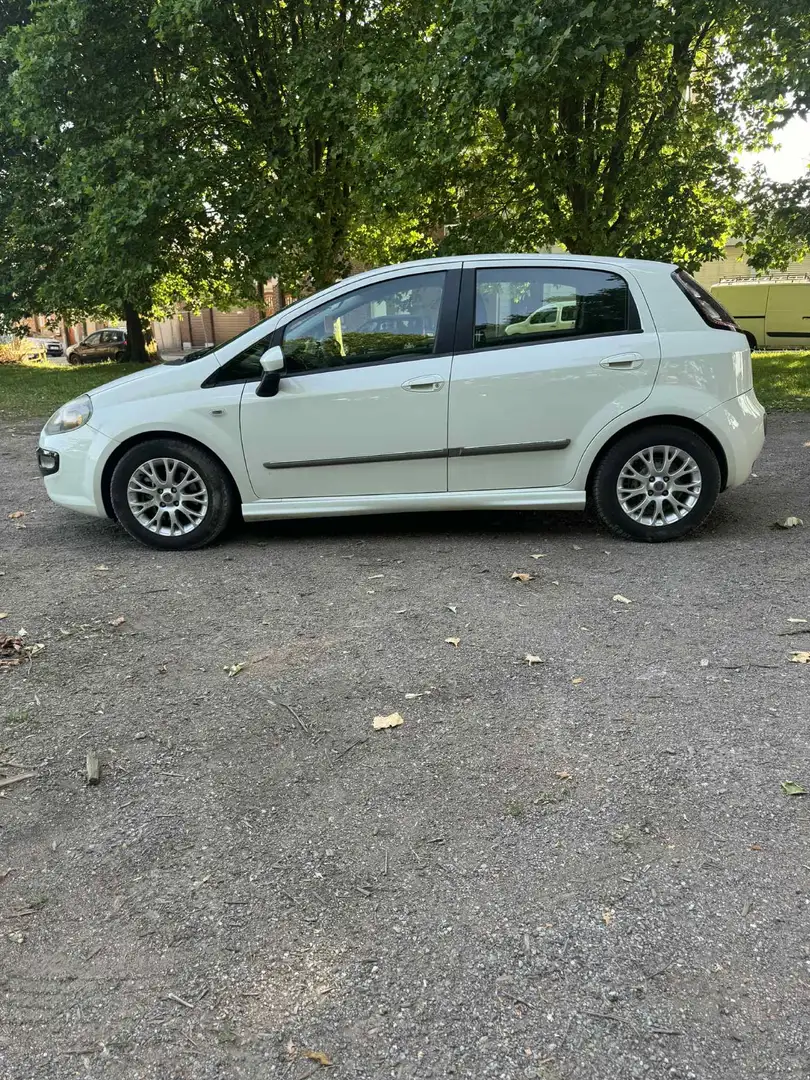 Fiat Punto Evo Blanc - 2