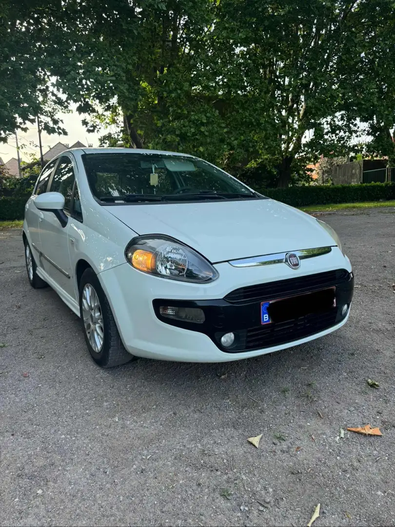 Fiat Punto Evo Blanc - 1