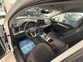 Audi Q5 40 TDI 204 CV quattro S tronic Business Advanced Weiß - thumbnail 10