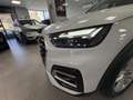 Audi Q5 40 TDI 204 CV quattro S tronic Business Advanced Weiß - thumbnail 8