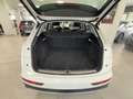 Audi Q5 40 TDI 204 CV quattro S tronic Business Advanced Weiß - thumbnail 30