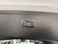 Audi Q5 40 TDI 204 CV quattro S tronic Business Advanced Weiß - thumbnail 29