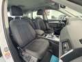 Audi Q5 40 TDI 204 CV quattro S tronic Business Advanced Weiß - thumbnail 13