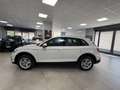 Audi Q5 40 TDI 204 CV quattro S tronic Business Advanced Weiß - thumbnail 7