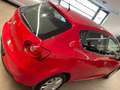 SEAT Ibiza 5p 1.2 Style 70PS/cv NEOPATENTI Rosso - thumbnail 5