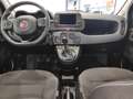Fiat Panda 1.0 FireFly S&S Hybrid*14.000 KM* Verde - thumbnail 24
