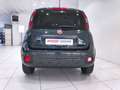 Fiat Panda 1.0 FireFly S&S Hybrid*14.000 KM* Verde - thumbnail 17