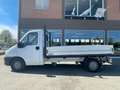 Fiat Ducato 2.8 JTD PM Cassonato Blanc - thumbnail 1