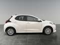 Toyota Yaris Yaris - 1,5 l, 116 PS 5-tg. Active Drive Weiß - thumbnail 6