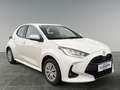 Toyota Yaris Yaris - 1,5 l, 116 PS 5-tg. Active Drive Weiß - thumbnail 7