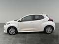 Toyota Yaris Yaris - 1,5 l, 116 PS 5-tg. Active Drive Weiß - thumbnail 2