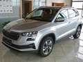 Skoda Karoq Tour 2,0 TDI DSG *LED/VIRTUELL/ACC/LANE/4xSHZG* Grau - thumbnail 1
