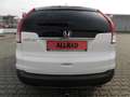 Honda CR-V Comfort 4WD+Navi+AHK+Laderaumwanne Blanco - thumbnail 26