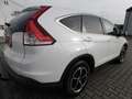 Honda CR-V Comfort 4WD+Navi+AHK+Laderaumwanne Bílá - thumbnail 5