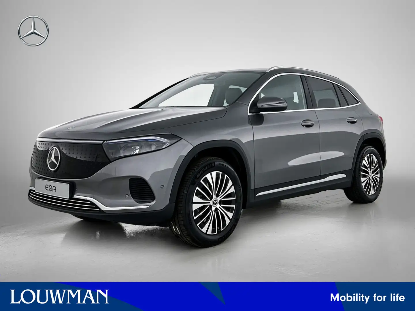 Mercedes-Benz EQA 250 250+ Business Solution Luxury 71 kWh | Panoramasch Grijs - 1