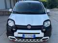 Fiat Panda Panda III 2021 1.0 firefly hybrid s PROMO FIN Blanc - thumbnail 1