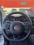 Fiat Panda Panda III 2021 1.0 firefly hybrid s PROMO FIN Blanc - thumbnail 2
