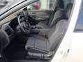 Nissan X-Trail X-TRAIL N-Connecta 1.5 VC-T e-Power 204 PS 5S Weiß - thumbnail 8