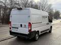 Fiat Ducato Ducato 30 L2H2 120 Weiß - thumbnail 3