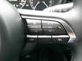 Mazda CX-30 e-SKYACTIV 186 AT Homura NAVI/HUD/KAMERA Schwarz - thumbnail 12