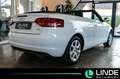 Audi A3 Attraction |KLIMA|Bi-XENON|SHZ|PDC|16 ALU Weiß - thumbnail 7