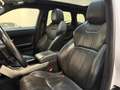 Land Rover Range Rover Evoque 2.0 TD4 Urban Series SE Dynamic - PANORAMADAK - ME Blanc - thumbnail 12