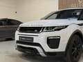 Land Rover Range Rover Evoque 2.0 TD4 Urban Series SE Dynamic - PANORAMADAK - ME Blanc - thumbnail 36