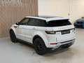 Land Rover Range Rover Evoque 2.0 TD4 Urban Series SE Dynamic - PANORAMADAK - ME Blanc - thumbnail 6