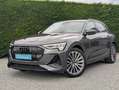 Audi e-tron (Q8) - 2x s-line + black style - matrix Gris - thumbnail 1