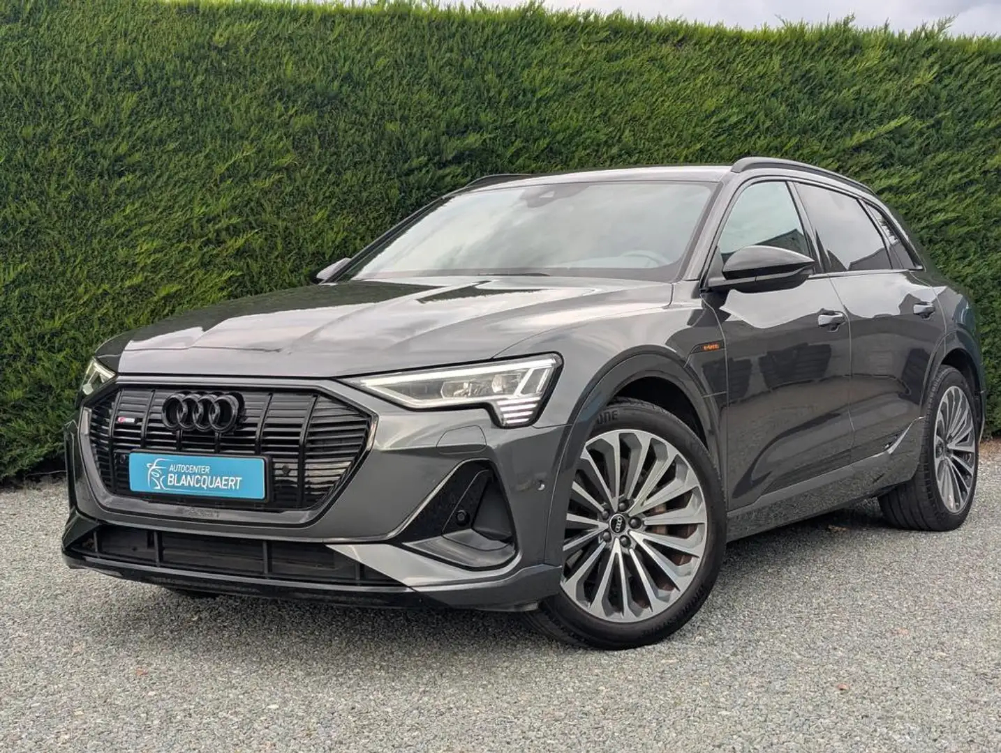 Audi e-tron (Q8) - 2x s-line + black style - matrix Gris - 1