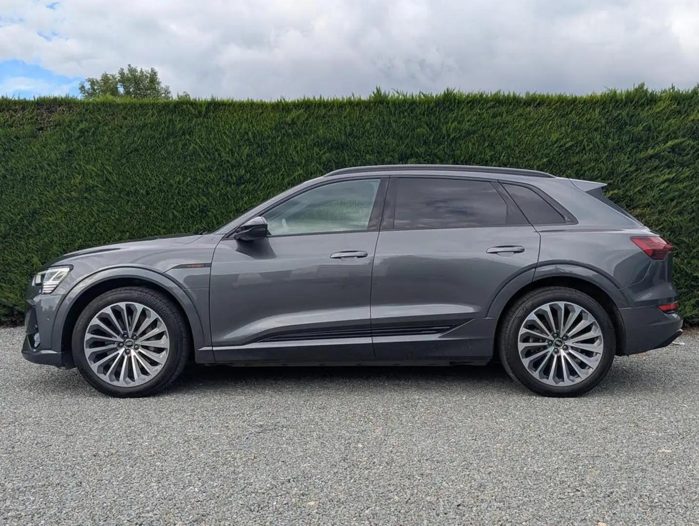 Audi e-tron (Q8) - 2x s-line + black style - matrix Gris - 2