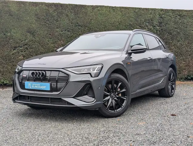 Audi Q8 e-tron (Q8) e-tron - 2x s-line + black style - matrix