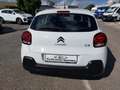Citroen C3 BlueHDi 100 S&S Van Feel Bianco - thumbnail 6