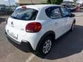 Citroen C3 BlueHDi 100 S&S Van Feel Bianco - thumbnail 4