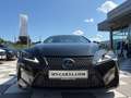 Lexus LC 500 Edition Carbon,Lenkradh,Sitzbelüftung, Negro - thumbnail 3