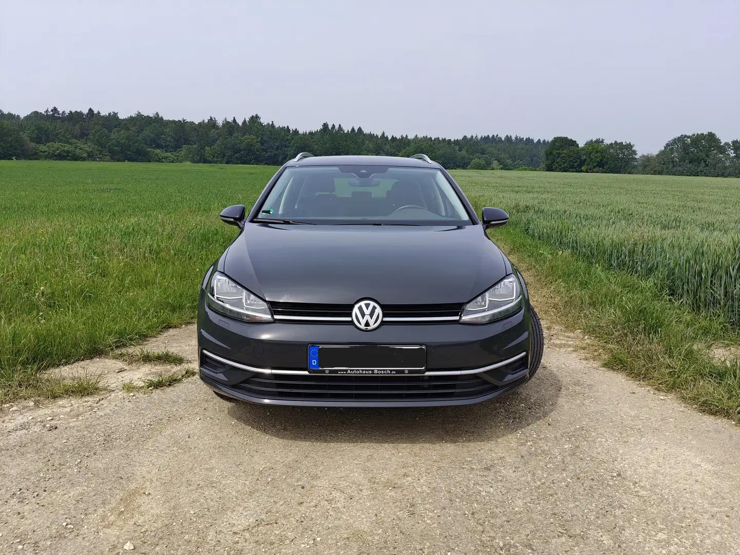 Volkswagen Golf Variant Golf Variant 1.6 TDI SCR IQ.DRIVE Grau - 2