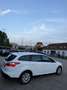Ford Focus Trend Weiß - thumbnail 12