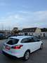 Ford Focus Trend Weiß - thumbnail 13