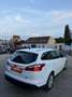 Ford Focus Trend Weiß - thumbnail 10