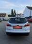 Ford Focus Trend Weiß - thumbnail 11