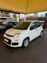 Fiat Panda Panda 1.0 FireFly S&S Hybrid Blanco - thumbnail 1