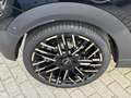 MINI Cooper C Cabrio Favoured Trim Noir - thumbnail 11