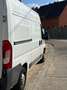 Peugeot Boxer Blanc - thumbnail 6