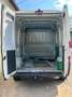 Peugeot Boxer Blanc - thumbnail 15