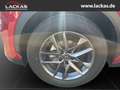 Lexus LBX *Basis*1.5*KOMFORT-PAK.* SHZ*PDC*15J-GARANTIE* Rot - thumbnail 18