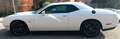 Dodge Challenger R/T Scat Pack Widebody Blanco - thumbnail 6