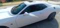 Dodge Challenger R/T Scat Pack Widebody Blanco - thumbnail 9