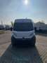 Opel Movano 33 2.2 BlueHDi 140 S&S PM-TM Furgone Bianco - thumbnail 10