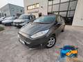Ford Fiesta 1.5 TDCi 95CV 5 porte Titanium Gris - thumbnail 1