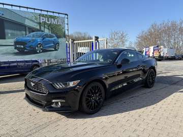 EcoBoost 317pk / manueel